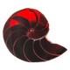 2 1/8" EXPOSED CHAMBER NAUTILUS SHELL RED RESIN FILL FOCAL BEAD CAB cabochon