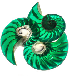 2 1/8" GENUINE EXPOSED CHAMBER NAUTILUS SHELL GREEN FOCAL BEAD CAB cabochon
