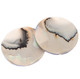 Exposed Chamber Nautilus Shell Blue Resin Matched Pair Bead Cab Cabochon, 1"