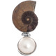 925 Silver Adorable Ammonite Fossil Mabe Pearl Pendant, 1 7/8"