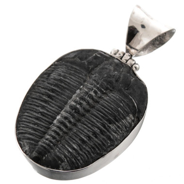 Genuine Utah Full Trilobite Fossil 925 Sterling Silver Pendant, 1 5/8"