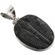 Genuine Utah Full Trilobite Fossil 925 Sterling Silver Pendant, 1 5/8"