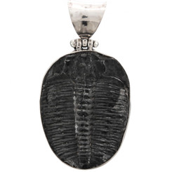 Genuine Utah Full Trilobite Fossil 925 Sterling Silver Pendant, 1 5/8"