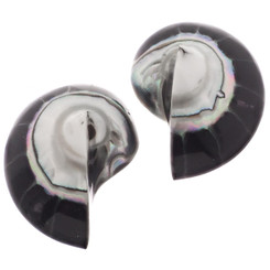 Nautilus Shell Black Focal Bead Matched Pair Cab Cabochon, 1 1/8"