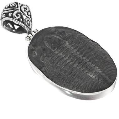 925 Silver Huge Intact Utah Trilobite Fossil Sterling Pendant, 1 7/8"
