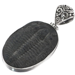 925 Silver Huge Intact Utah Trilobite Fossil Sterling Pendant, 1 7/8"