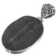 925 Silver Huge Intact Utah Trilobite Fossil Sterling Pendant, 1 7/8"