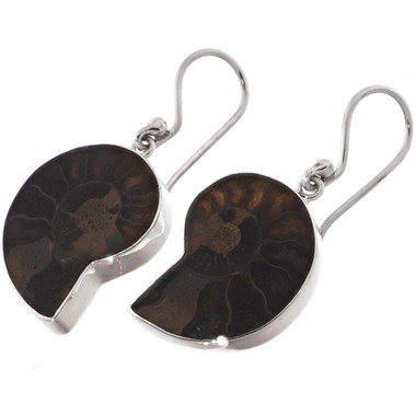 925 Silver Ammonite Fossil Fossil Sterling Earrings, 13/16"