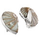 925 Silver Lusterous Paisley Pattern Nautilus In Sterling Clip-on Earrings, 1"