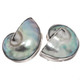 925 Silver Blue Iridescent Nautilus Shell In Sterling Clip-on Earrings, 1"