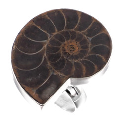 925 Silver Ammonite Fossil Fossil Sterling Adj Sz 8 Ring