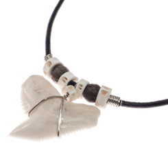 Huge Genuine Tiger Shark Tooth Teeth 18" Black Leather Necklace, 1 1/4"