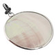 Round Genuine Nautilus Shell Sterling Silver Pendant, 1 5/8"