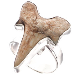 925 Silver Cool Otodus Shark Tooth Fossil Sterling Adj Us 7 Ring, 1"