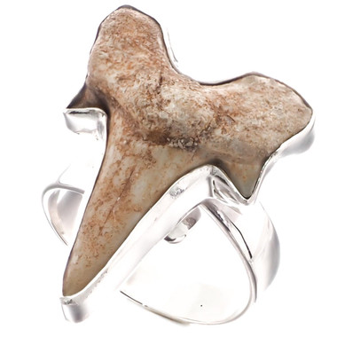 925 Silver Cool Otodus Shark Tooth Fossil Sterling Adj Us 7 Ring, 1"