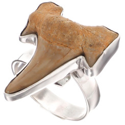 925 Silver Cool Otodus Shark Tooth Fossil Sterling Adj Us 8 Ring, 1"