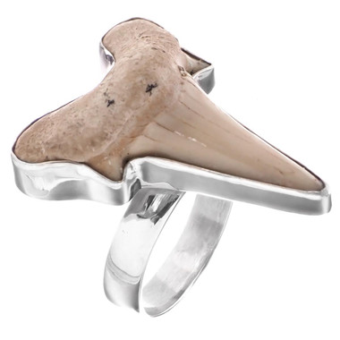 925 Silver Cool Otodus Shark Tooth Fossil Sterling Adj Us 8 Ring, 1"