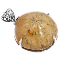 925 Silver Madagascar Fossil Sand Dollar Sterling Pendant, 2 1/8"
