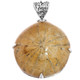 925 Silver Madagascar Fossil Sand Dollar Sterling Pendant, 2 1/8"