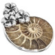 925 Silver Ammonite Fossil Fossil Flower Trio Sterling Pendant, 1 3/8"