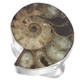 925 Silver Ammonite Fossil Fossil Sterling Adj Sz 9 Ring