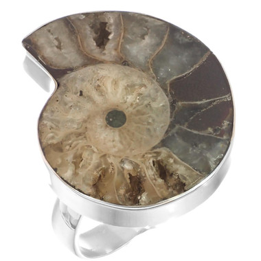 925 Silver Ammonite Fossil Fossil Sterling Adj Sz 9 Ring