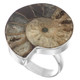 925 Silver Ammonite Fossil Fossil Sterling Adj Sz 9 Ring