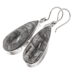 925 Silver Pear Moroccan Orthoceras Fossil Sterling Teardrop Earrings, 1 1/4"