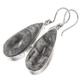 925 Silver Pear Moroccan Orthoceras Fossil Sterling Teardrop Earrings, 1 1/4"