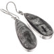 925 Silver Pear Moroccan Orthoceras Fossil Sterling Teardrop Earrings, 1 1/4"