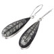 925 Silver Pear Moroccan Orthoceras Fossil Sterling Teardrop Earrings, 1 1/4"