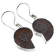 925 Silver Dainty Ammonite Fossil Fossil Sterling Earrings, 3/4"