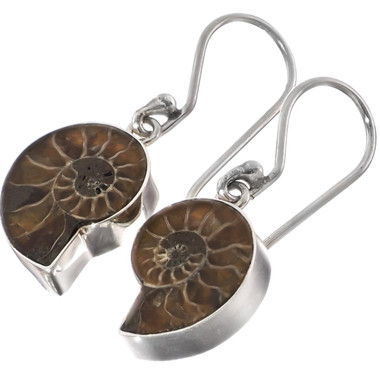925 Silver Dainty Ammonite Fossil Fossil Sterling Earrings, 3/4"