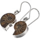 925 Silver Dainty Ammonite Fossil Fossil Sterling Earrings, 3/4"