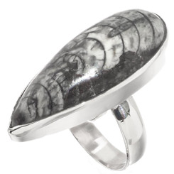 925 Silver 1 1/4 Cool Moroccan Orthoceras Fossil Sterling Adj Sz 6 Ring