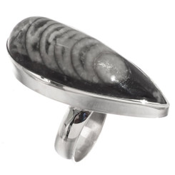 925 Silver 1 1/4 Cool Moroccan Orthoceras Fossil Sterling Adj Sz 6 Ring