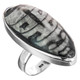 925 Silver 1 3/8 Cool Moroccan Orthoceras Fossil Sterling Us 7 Ring