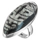 925 Silver 1 3/8 Cool Moroccan Orthoceras Fossil Sterling Us 7 Ring