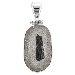 925 Silver Rare Petalodont Shark Fossil In Matrix Sterling Pendant