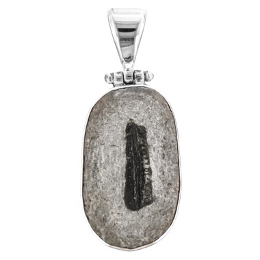 925 Silver Rare Petalodont Shark Fossil In Matrix Sterling Pendant