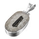 925 Silver Rare Petalodont Shark Fossil In Matrix Sterling Pendant
