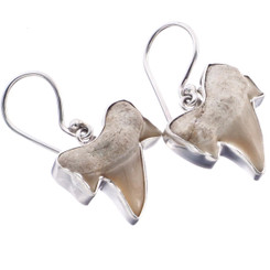 925 Silver Genuine Otodus Shark Tooth Fossil Sterling Earrings, 7/8"