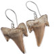 925 Silver Genuine Otodus Shark Tooth Fossil Sterling Earrings, 7/8"