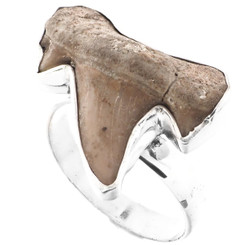 925 Silver Cool Otodus Shark Tooth Fossil Sterling Adj Us 9 Ring, 1"