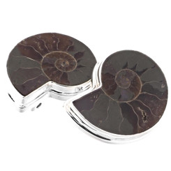 925 Silver Ammonite Fossil Sterling Clip-on Earrings, 1"