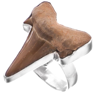 925 Silver Cool Otodus Shark Tooth Fossil Sterling Adj Us 6 Ring, 1"