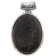 925 Silver Genuine Dinosaur Bone Fossil Sterling Pendant, 2 3/16"