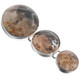 925 Silver Palm Tree Fossil Sterling Pendant, 2 3/8"