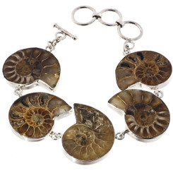 925 Silver Genuine Madagascar Ammonite Fossil Sterling Bracelet, 7"