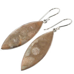 925 Silver Adorable Fossil Coral Sterling Earrings, 1 1/2"